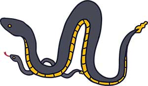 Mama and baby rattlesnakes with black backs and gold bellies and eyes